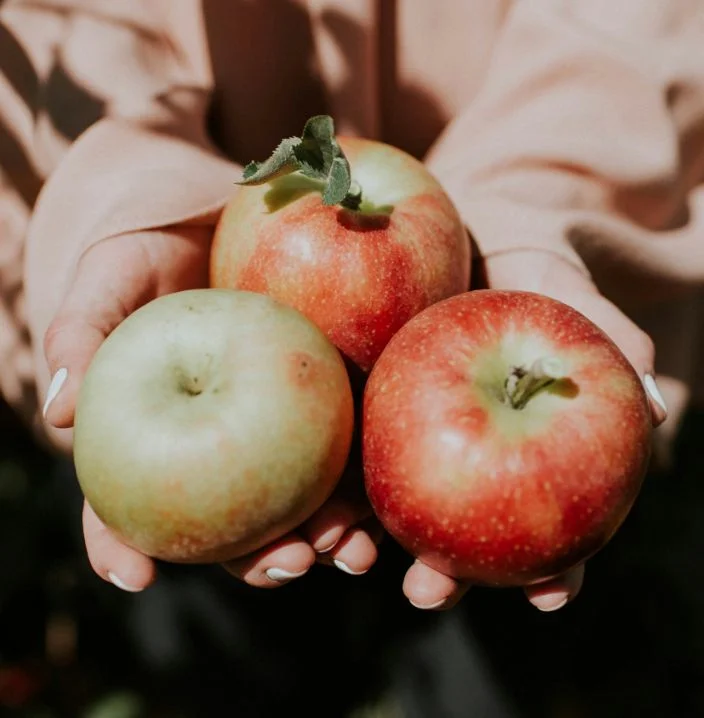 Handful of apples