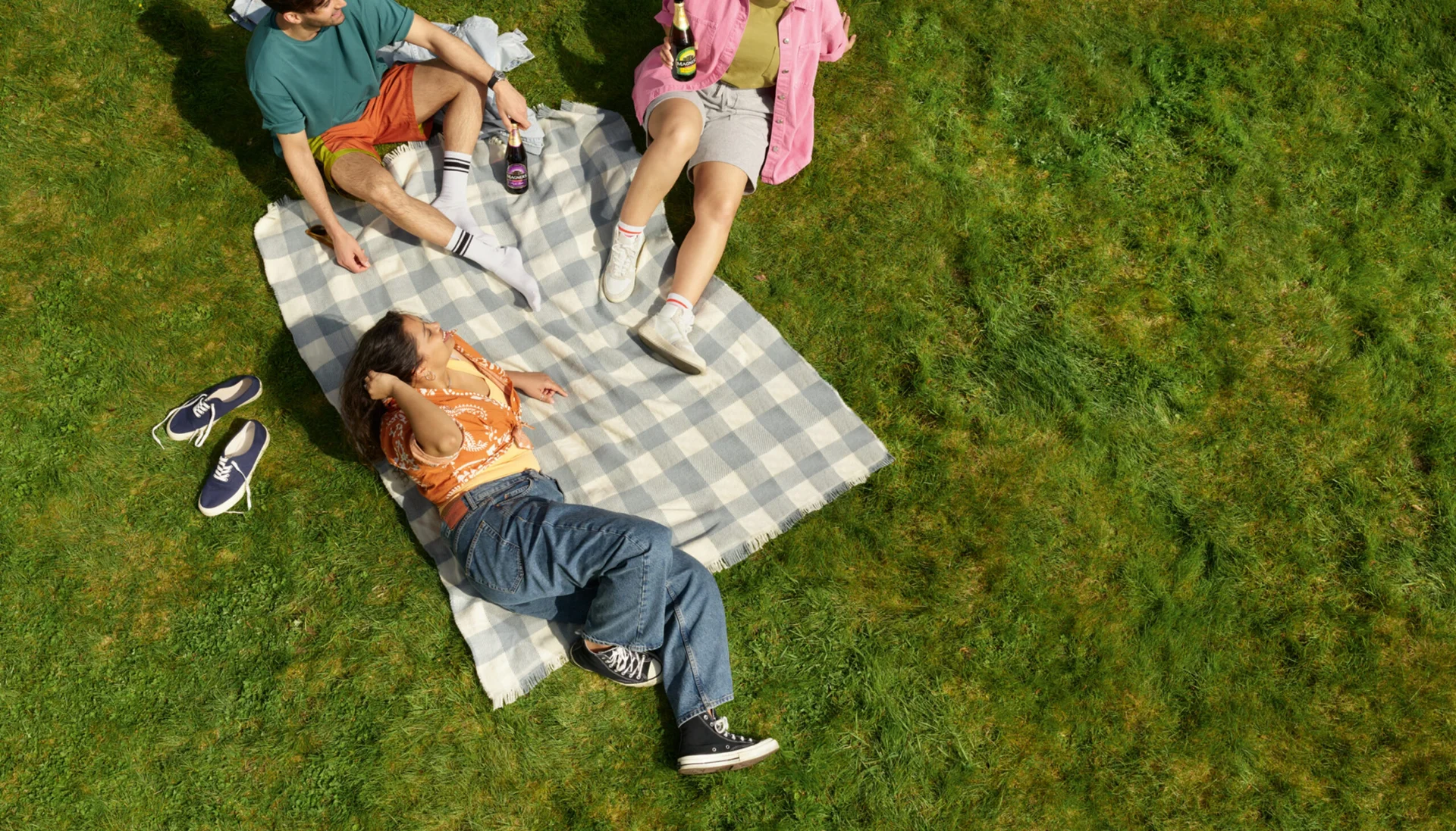 Picnic with Magners